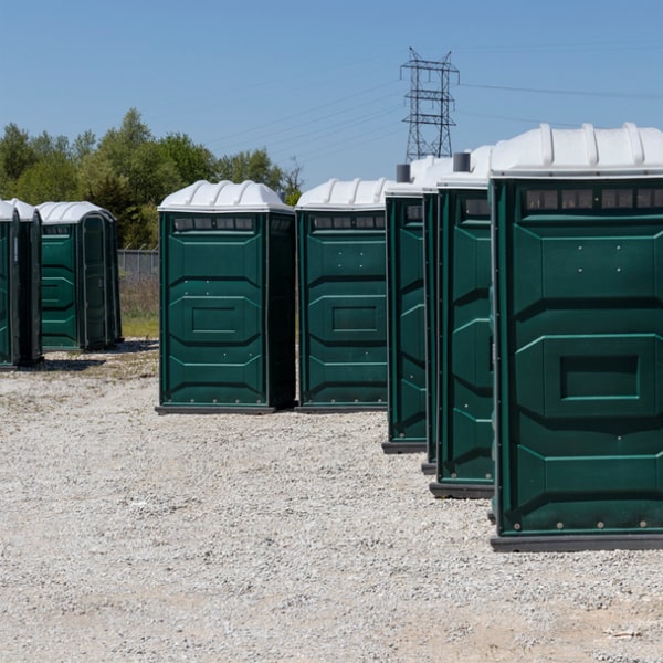 can i choose the color or style of the event porta potty for my event